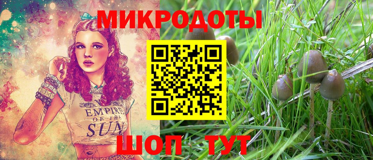 Йошкар-Ола  Галлюциногенные грибы Psilocybine cubensis  Галлюциногенные грибы GOLDEN TEACHER  Вход с VPN 