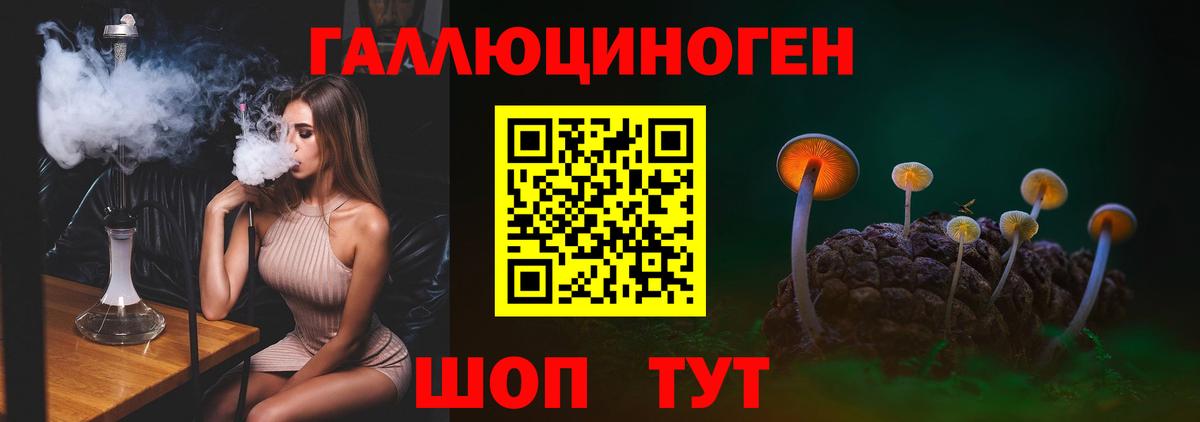 Псилоцибиновые грибы мицелий Йошкар-Ола